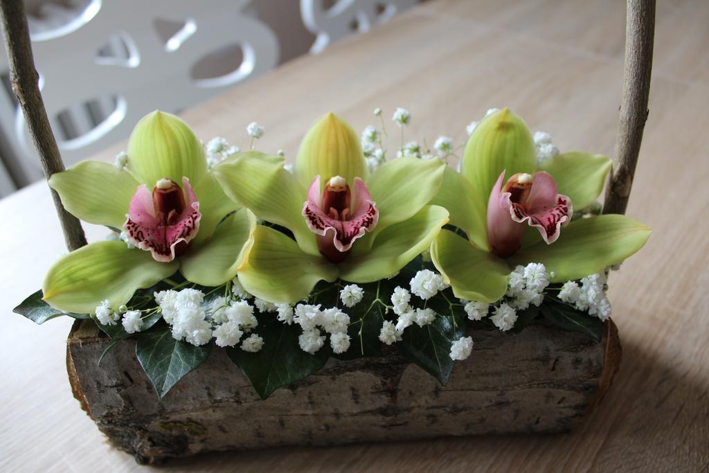 Orchid House Apartment เบลเกรด ภายนอก รูปภาพ