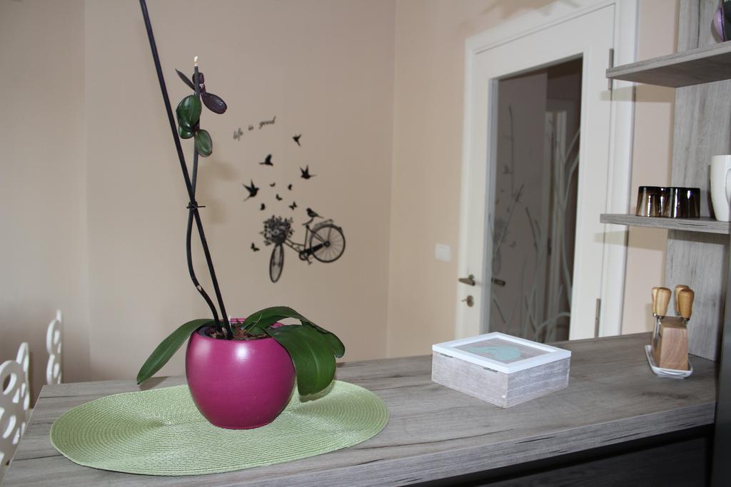 Orchid House Apartment เบลเกรด ภายนอก รูปภาพ